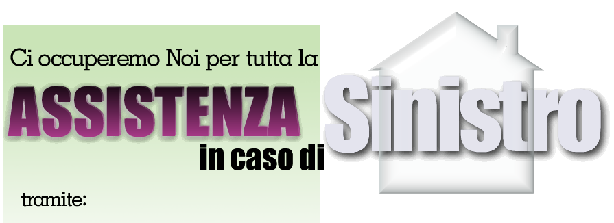 ASSISTENZA E GESTIONE IN CASO DI SINISTRO